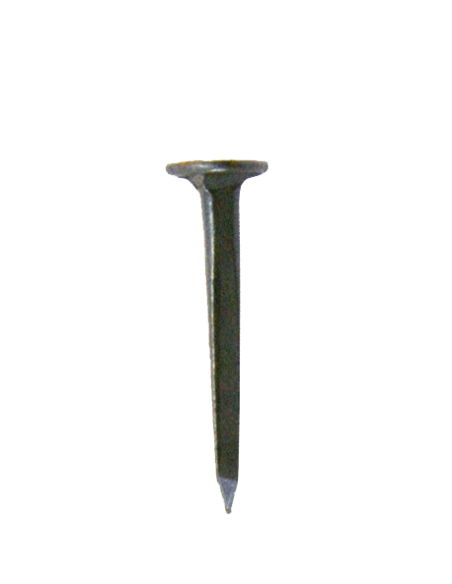 SEMENCE CORDONNIER 6 (KG)| mano.tn | Tunisie