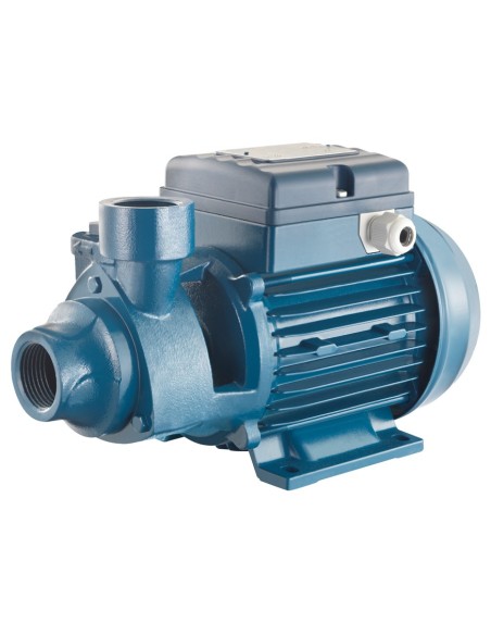 POMPE VOLUMÉTRIQUE PENTAX PM80 1CV| mano.tn | Tunisie