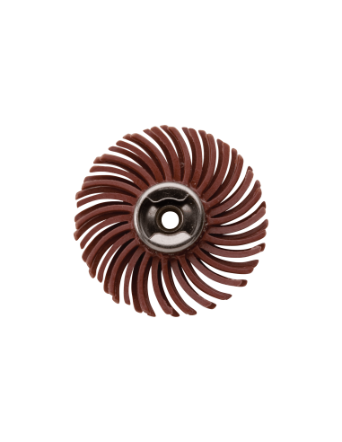 DREMEL® EZ SpeedClic : brosse abrasive fine grain 220 (473S)| mano.tn | Tunisie