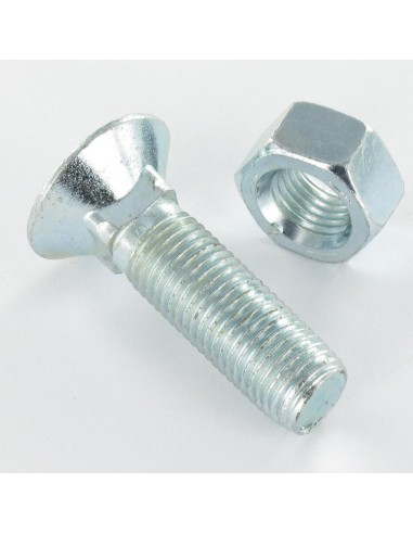 BOULON CHARRUE 12X40 (100PCS)| mano.tn | Tunisie