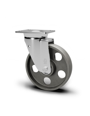 ROUE PIVOTANTE FONTE/LISS 100X30 AVO Série 114