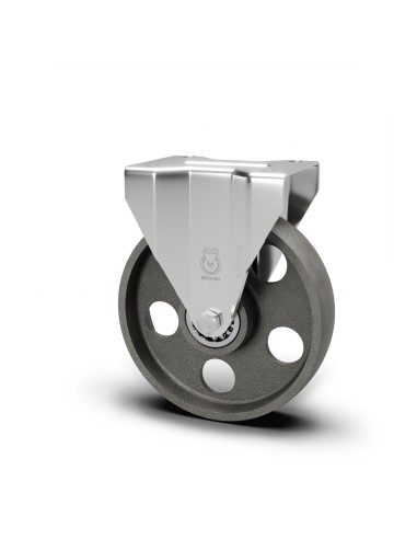 ROUE FIXE FONTE  L100X30AVO Serie 114